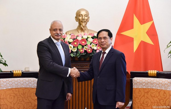 Vietnam attaches importance to friendship with Egypt: FM