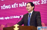 vietnam highlights asean india maritime connectivity