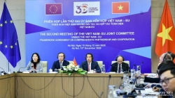Viet Nam, EU enjoy sound relationship over three decades