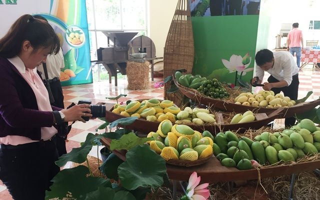 vietnam exports first batch of mangoes to us