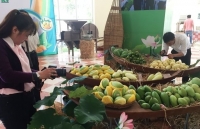 Vietnam exports first batch of mangoes to us