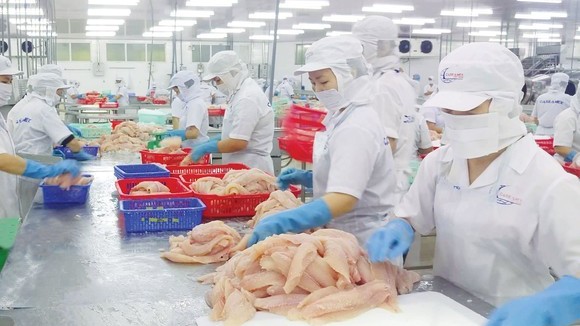 South Africa a promising market for Vietnam’s fishery products