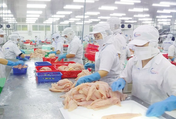 Nam Phi là thị trường còn rất nhiều tiềm năng cho thủy, hải sản Việt Nam. (Ảnh: Nguyễn Thanh)