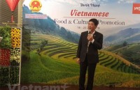 thai firms seek business shortcuts in vietnam
