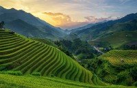 businessman nguyen cong tinh work with the heart raise the value