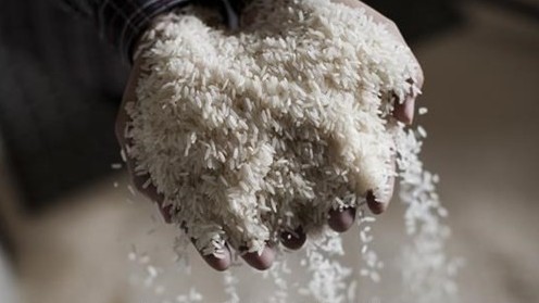 Laos’ rice export value nearly halves in 2021