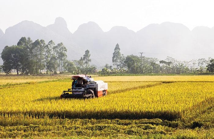 By 2030, Vietnam would have a green, environmentally-friendly, and climate-resilient agricultural sector. (Source: Hanoi Times)