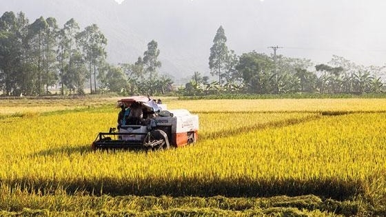 Viet Nam targets green and climate-resilient agricultural sector by 2030