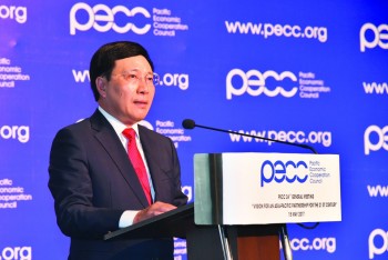 APEC Viet Nam 2017: Implementing active multilateral diplomacy