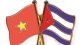 Viet Nam affirms solidarity with Cuba amidst difficulties