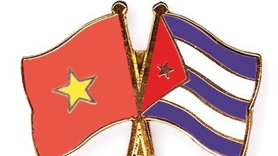 Viet Nam affirms solidarity with Cuba amidst difficulties