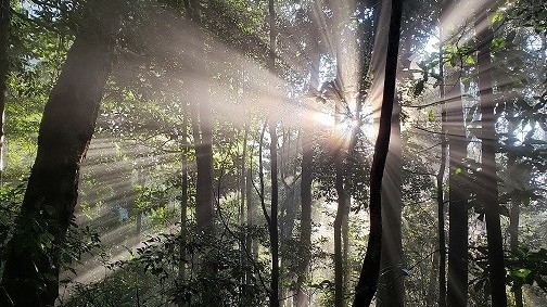 Viet Nam’s biosphere reserves earn UNESCO recognition