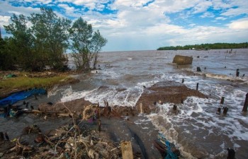 Sediment loss in Mekong River killing southern delta