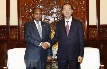 President receives outgoing Mozambican Ambassador