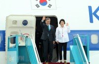 vietnam rok delighted at progress of bilateral ties