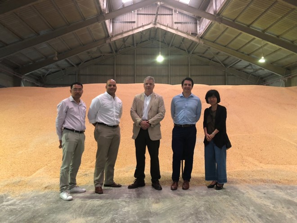 first direct shipment of us corn arrives in vietnam