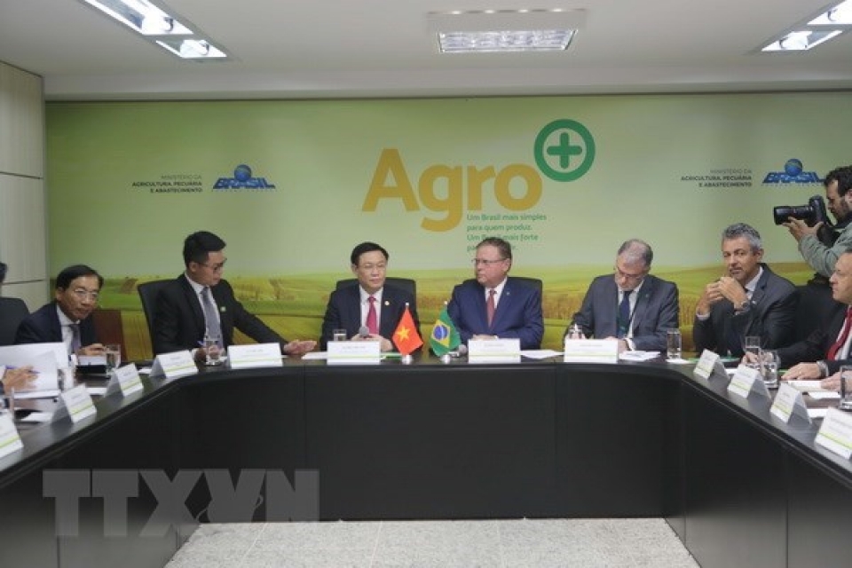 Vietnam, Brazil cement multifaceted cooperation vietnam brazil cement multifaceted cooperation