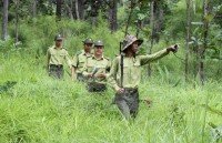 forestry exports rise by 16 percent in 2018