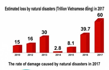 2017 plagued by devestating natural disasters