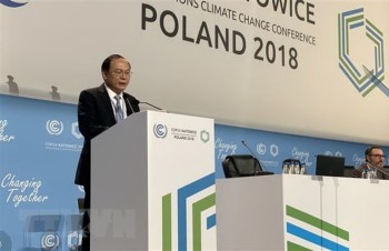 Vietnam calls on countries to unite in climate change response