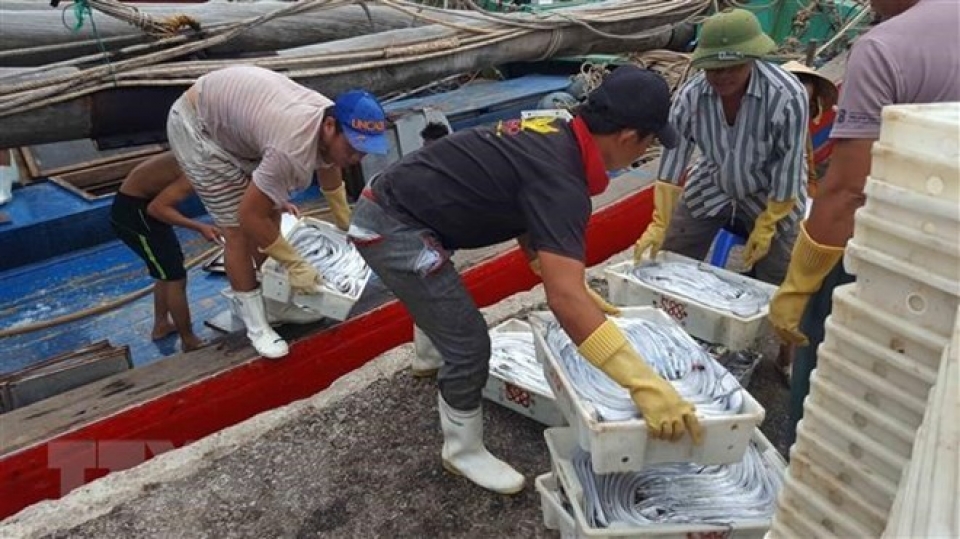 urgent solutions needed to address eus warning of iuu fishing ministry