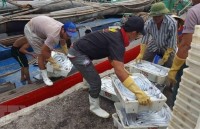 ec recognises vietnams improvements in combating iuu fishing