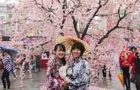 vietnamese youth run top baby brand goes to japan