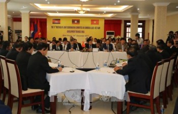 Vietnam chairs GMS and CLV summits