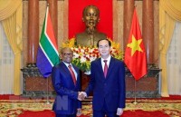 malian president keen on boosting partnership with vietnam