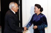 na chairwoman meets leaders of vietnamese associations in europe
