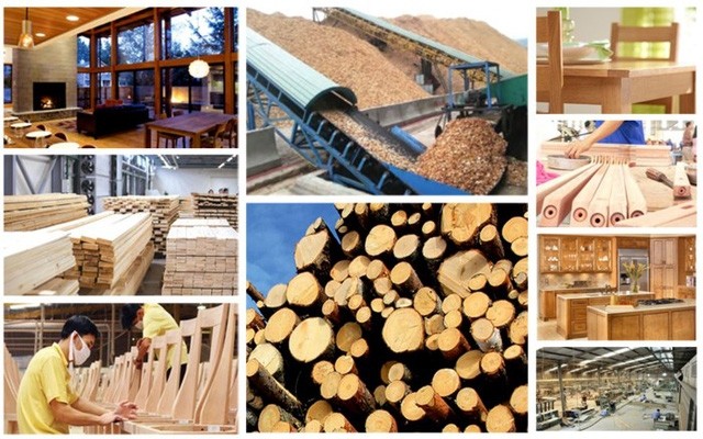 Viet Nam aims to reach the goal of 18.5 billion USD in wood export in 2025.