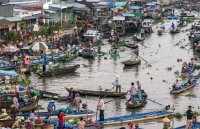 vietnam helps promote sustainable development in mekong sub region