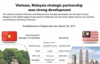 Vietnam, Malaysia strategic partnership sees strong development