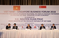 vietnam singapore diplomatic ties anniversary marked in hcm city