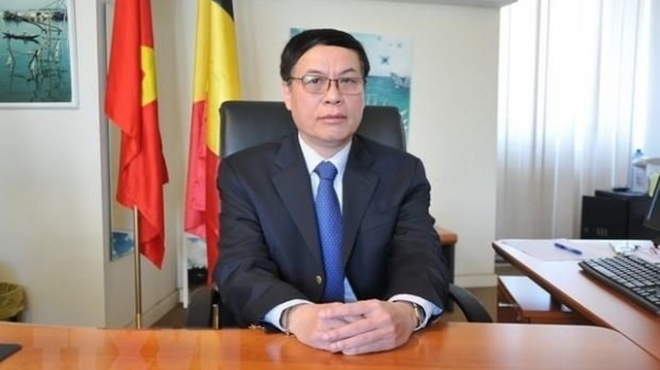 Vietnam prioritises relations with EU: ambassador