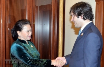 NA Chairwoman: Vietnam wants stronger ties with Georgia