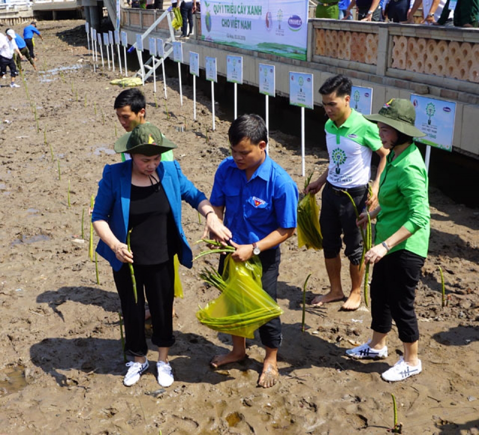 na chairwoman plants trees presents scholarships in ca mau
