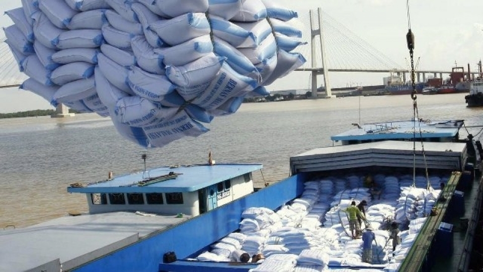 vietnam to earn over us 315 billion from rice exports