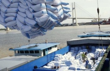 Vietnam to earn over US$3.15 billion from rice exports