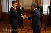 mexican party leader highly values bilateral ties with vietnam