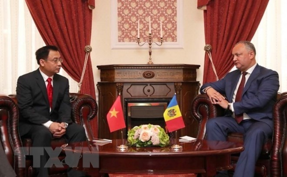 ambassador wishes for growing vietnam moldova ties