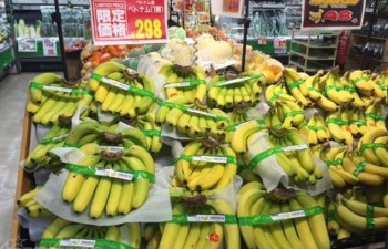 Vietnamese farm produce promoted in Japan