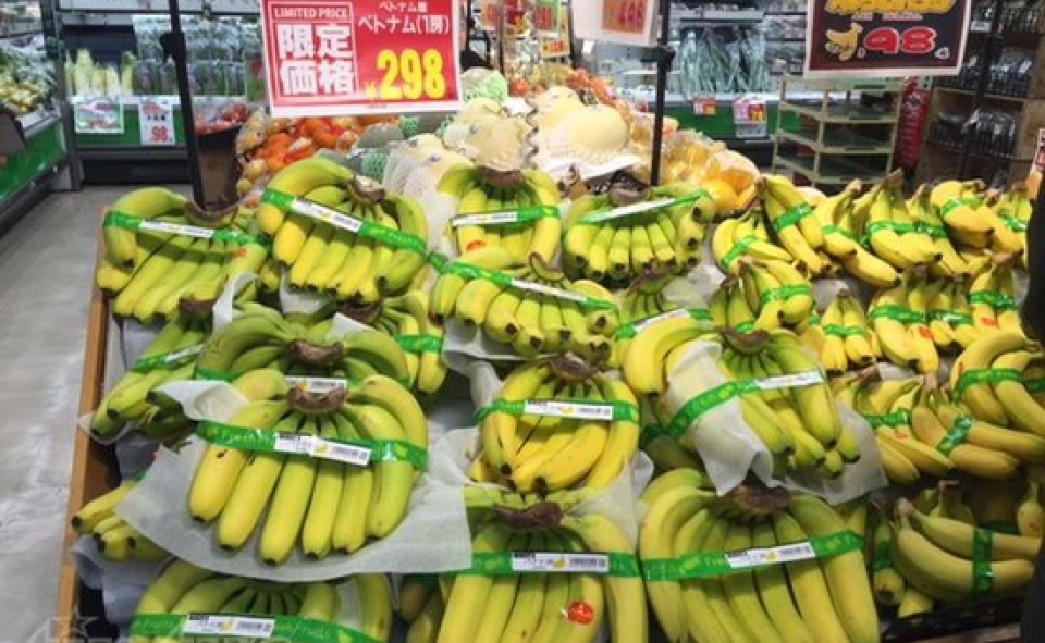 vietnamese farm produce promoted in japan