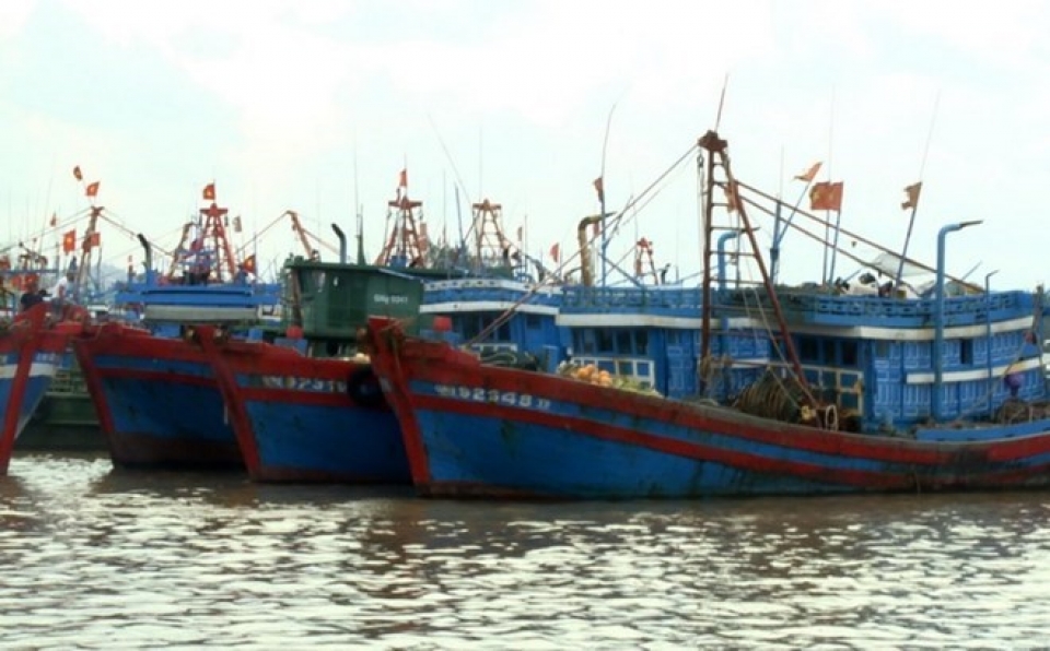 vietnam china negotiate cooperation in less sensitive marine areas