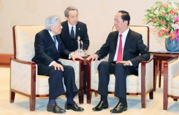 Vietnam treasures ties with Japan: President