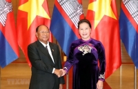 deputy pm co chaired the meeting of vietnam cambodia joint commission