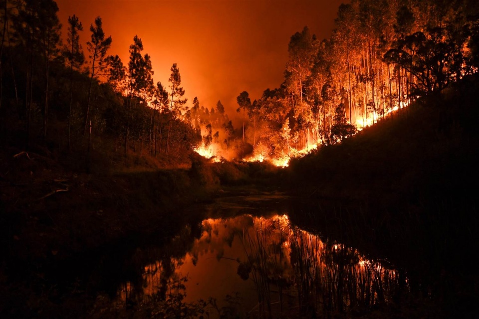 condolences sent to portugal over forest fires