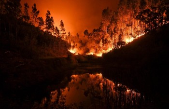 Condolences sent to Portugal over forest fires