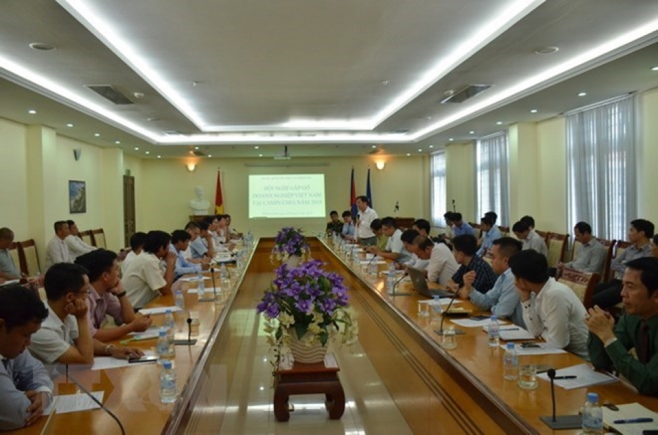 vietnamese firms contribute to cambodias development ambassador