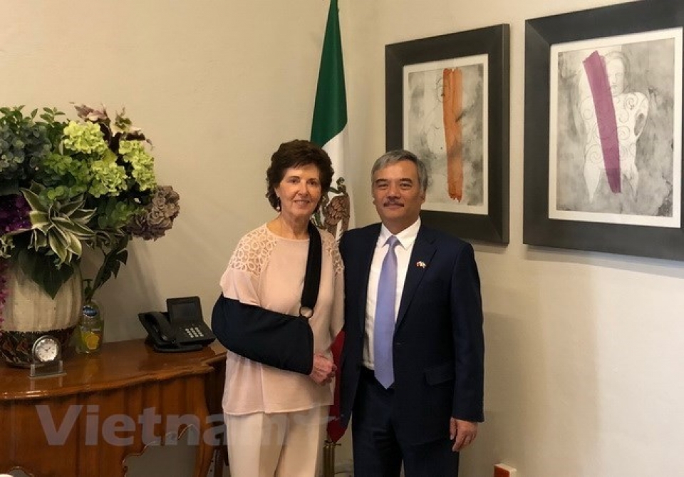 cultural exchange bonds vietnam mexico mexican minister